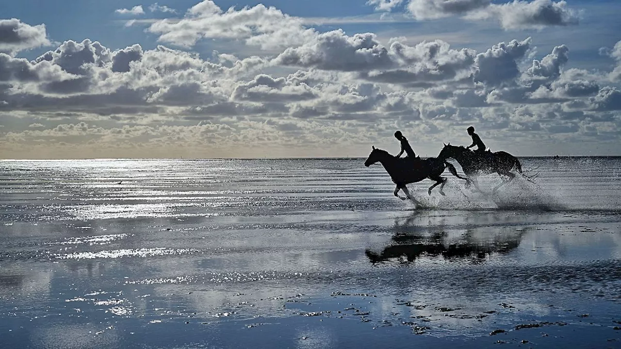 Wattenmeer ist seit 15 Jahren UNESCO-Weltnaturerbe