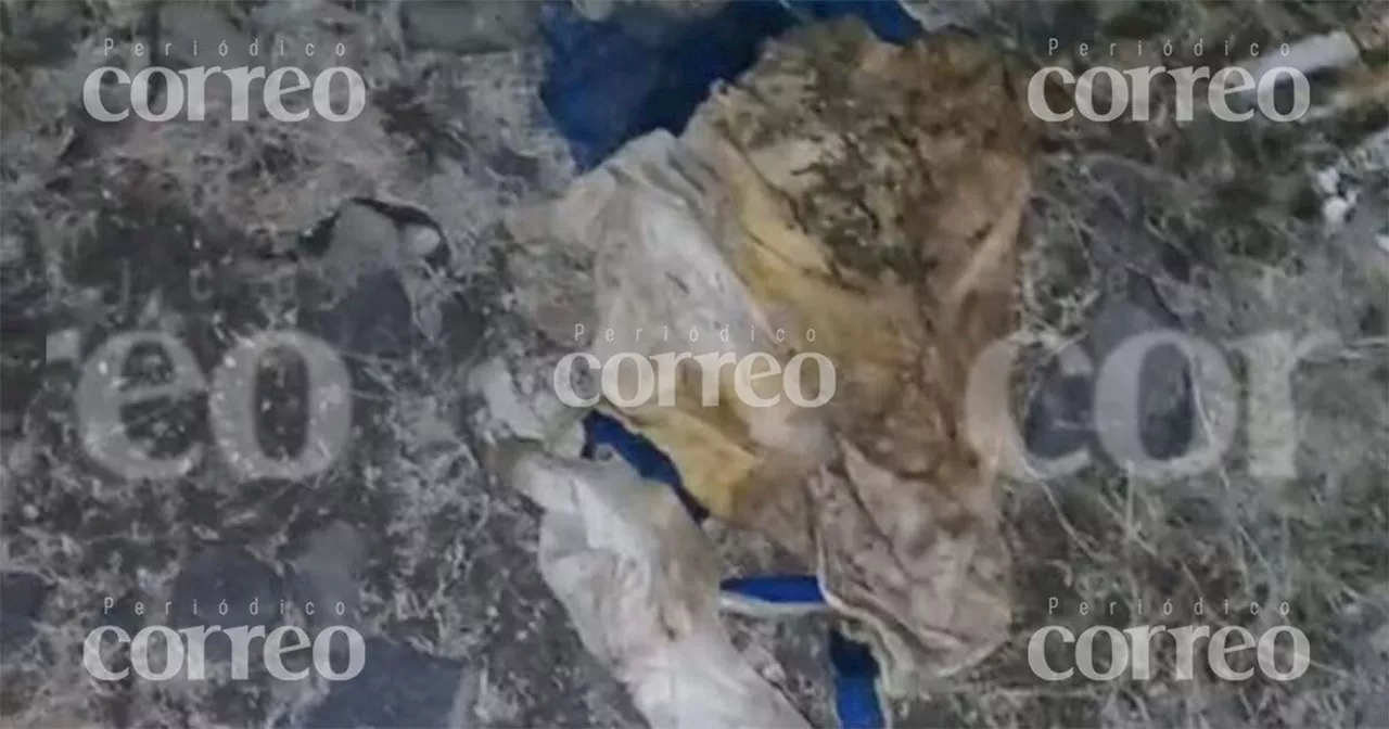 Descubren restos humanos en la presa del Conejo de Irapuato