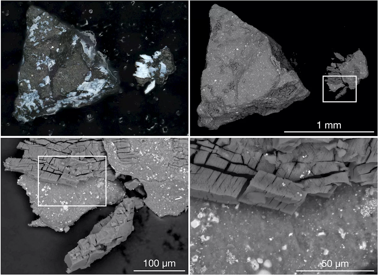 Surprising phosphate finding in NASA's OSIRIS-REx asteroid sample