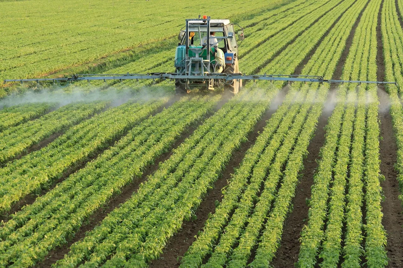 The price is wrong: Researchers explore farmers' interests in carbon markets
