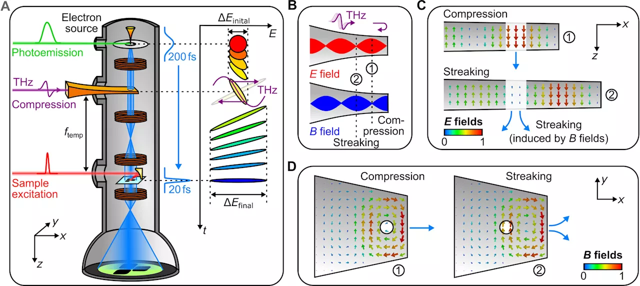 Time-compression in electron microscopy: Terahertz light controls and characterizes electrons in space and time