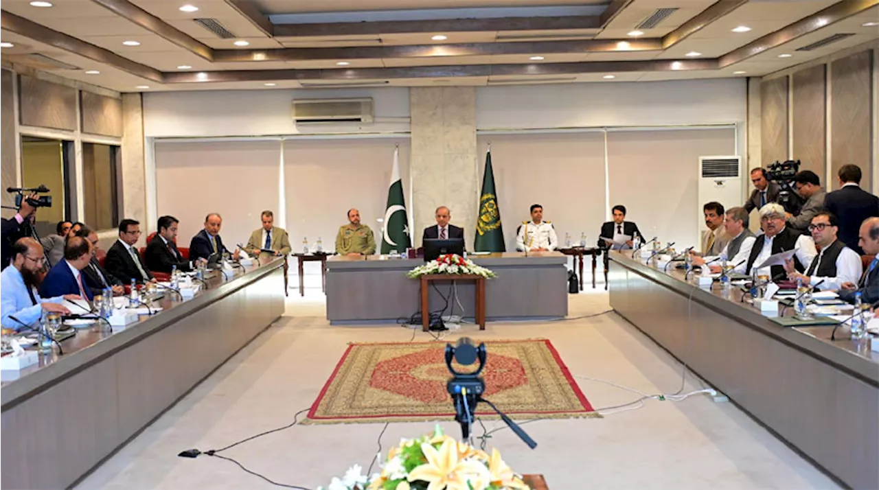 Promoting Alternative Energy Sources: PM Emphasizes To Focus On Renewable Energy Sources