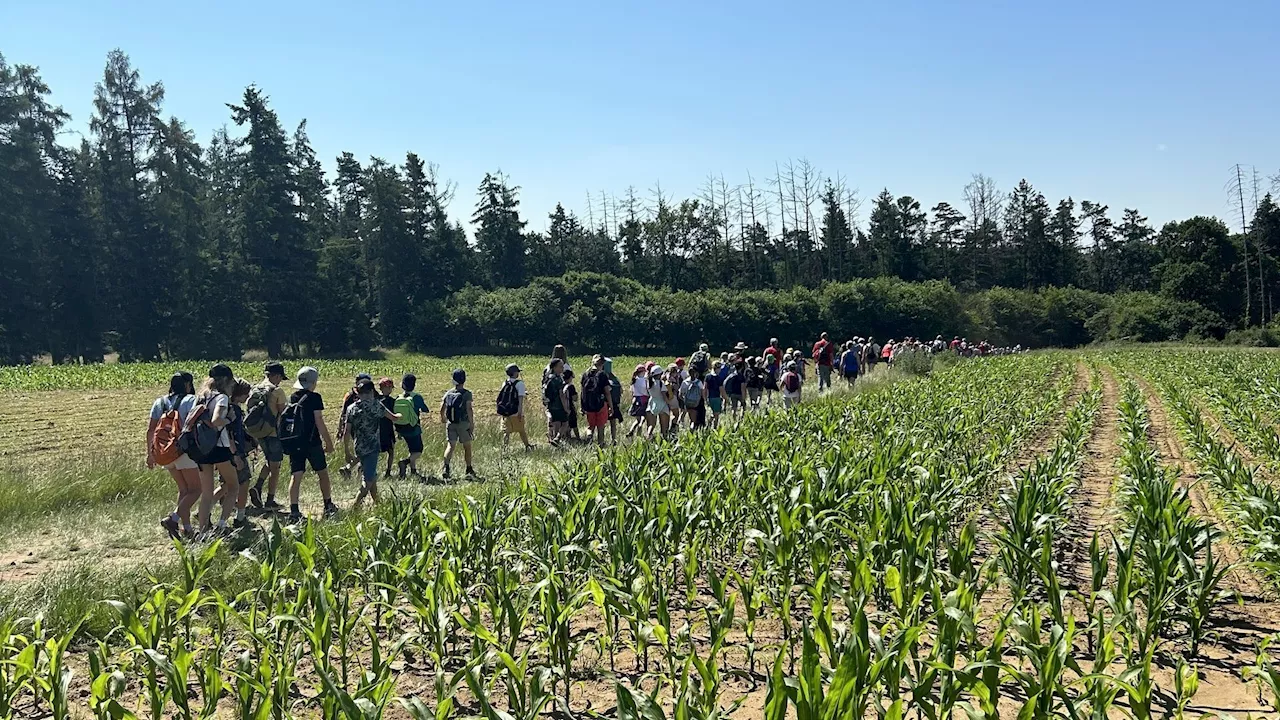 Près de 3000 participants à la première étape arlonaise de la MESA