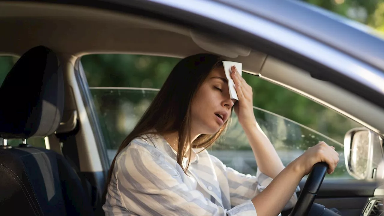 Grafik zeigt: So schnell wird das Auto bei Hitze zur tödlichen Falle