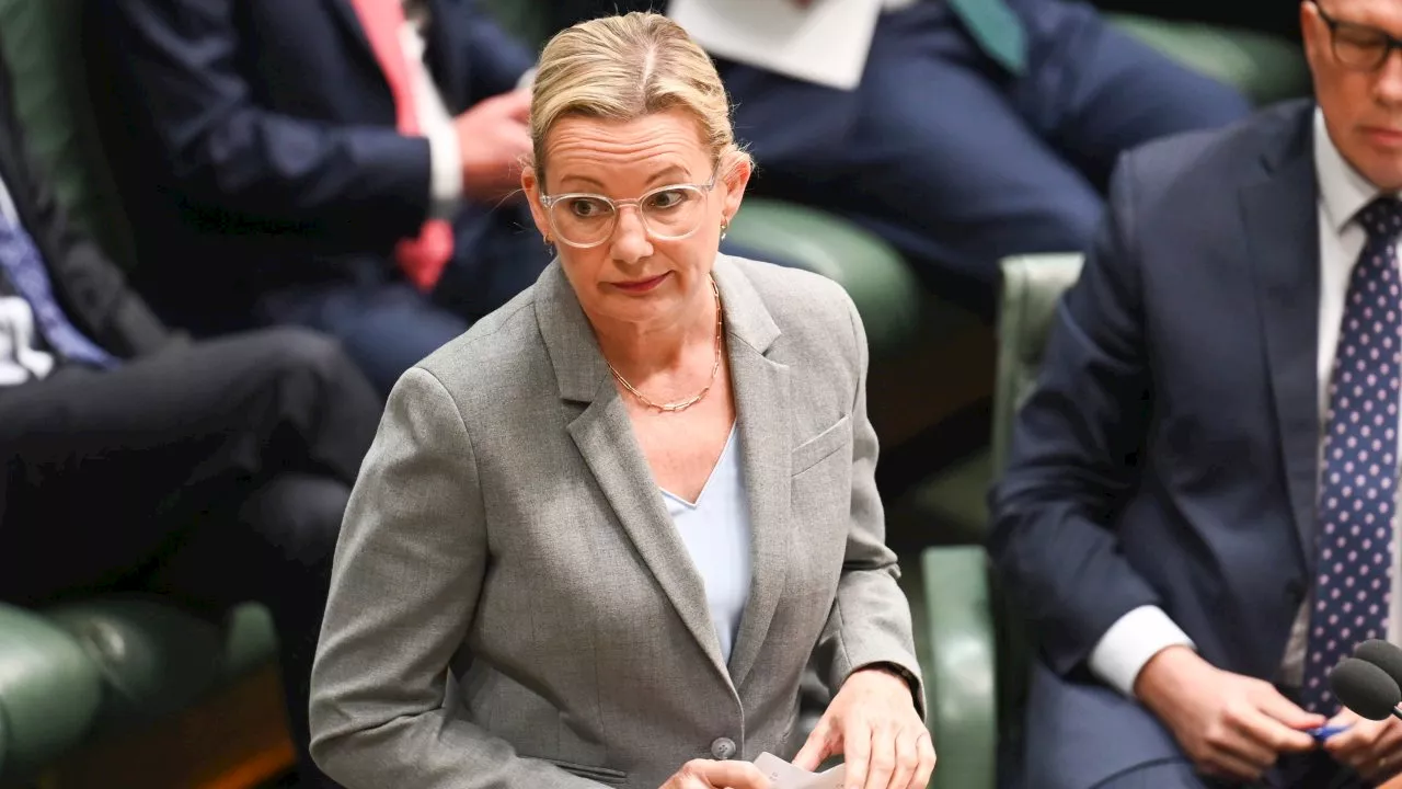 ‘Weak leadership’: Sussan Ley blasts Labor over Fatima Payman decision