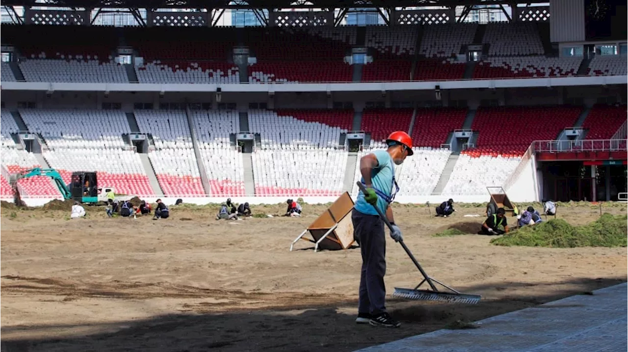 Rumput GBK Direvitalisasi Total, Pengelola Akui Bukan Cuma untuk Timnas Indonesia