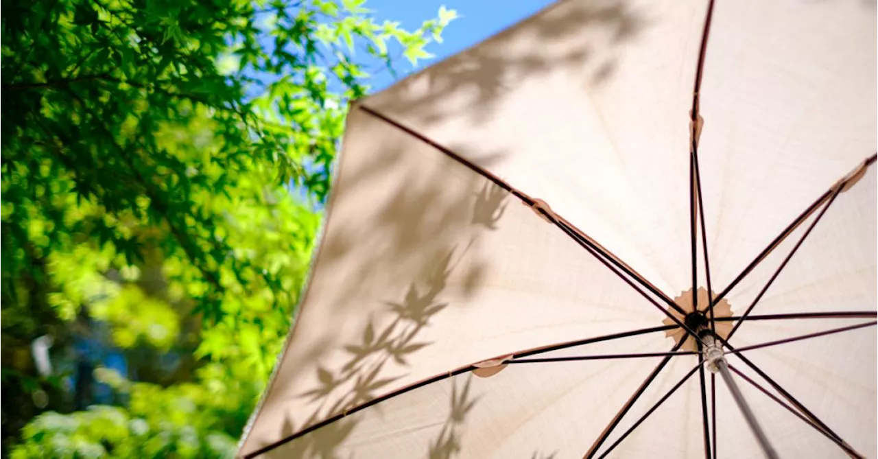 Profitez d’un été en terrasse en toute sécurité avec ces parasols !