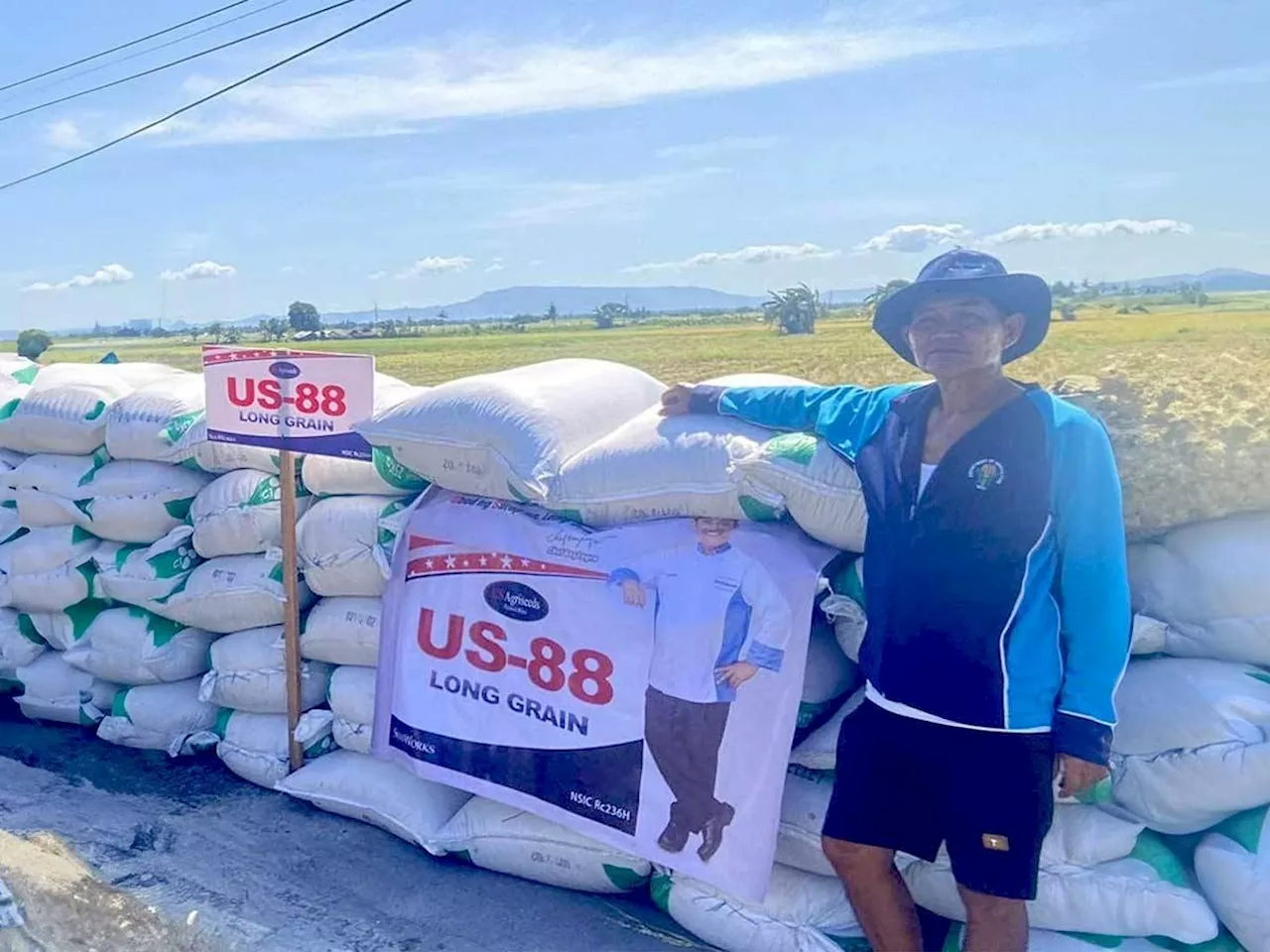 Farmer in Bicol logs record palay yield