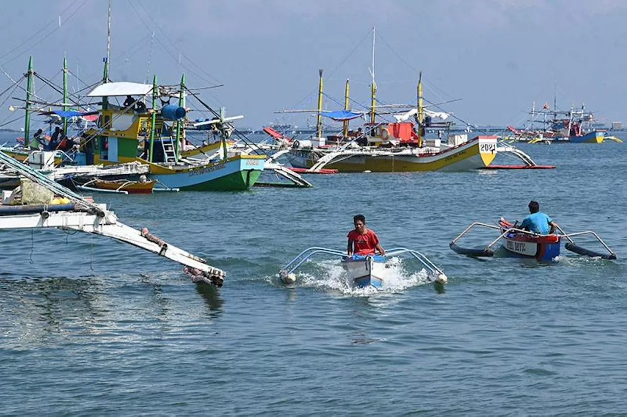 House to probe alleged violation of WPS fishers' rights