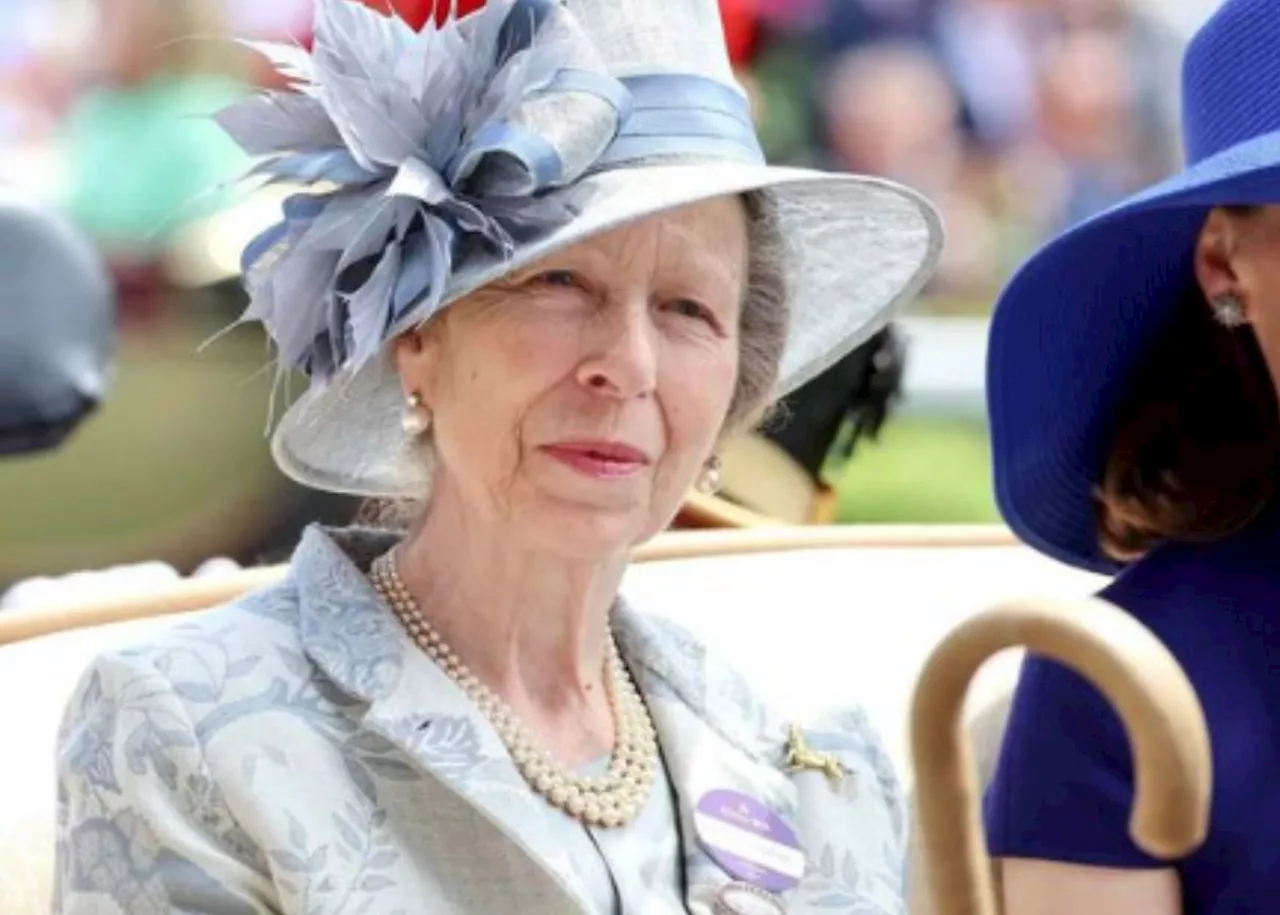 Princess Anne’s injuries ‘could be serious’ after horse ‘incident’