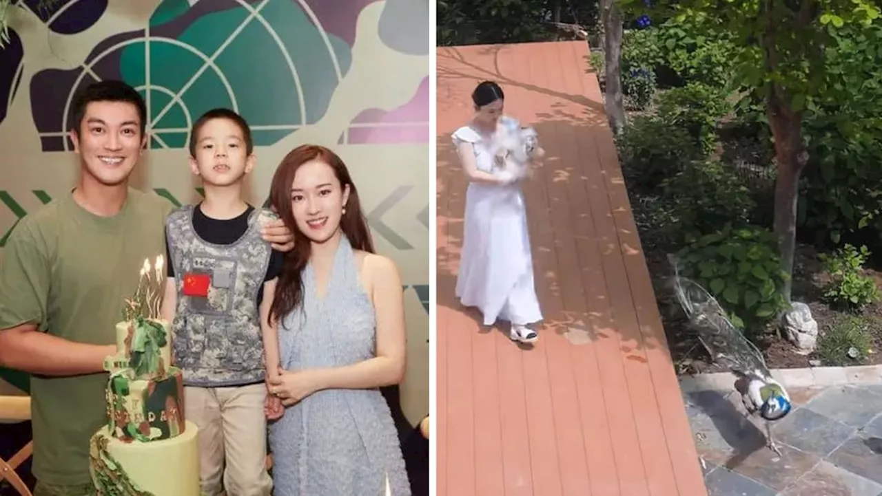 Chinese stars criticised for showing off Beijing mansion where they have a yard for their peacocks