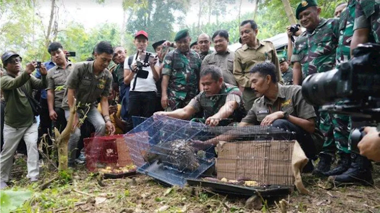 KSAD dan Pangkostrad Lepas Liarkan Satwa Dilindungi di Hutan Lindung Gunung Sanggabuana Karawang