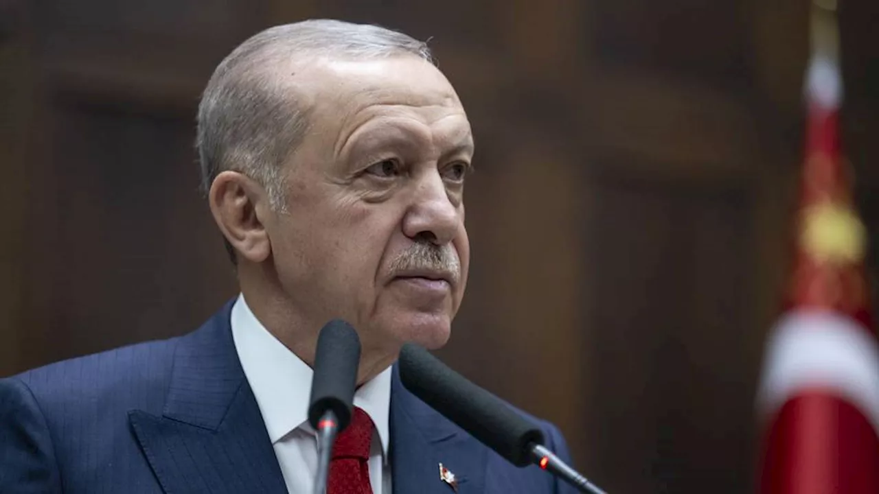 Erdogan urges regional solidarity with Lebanon amid Israel's invasion plan