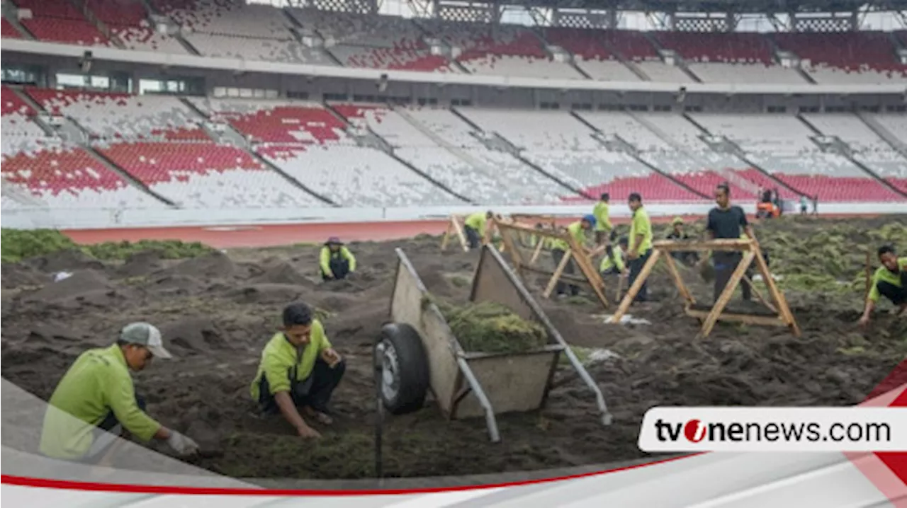 Kualitas Lapangan Dikritik Habis-habisan Setelah Digunakan Timnas Indonesia, Stadion GBK Akhirnya Rombak Total Rumput