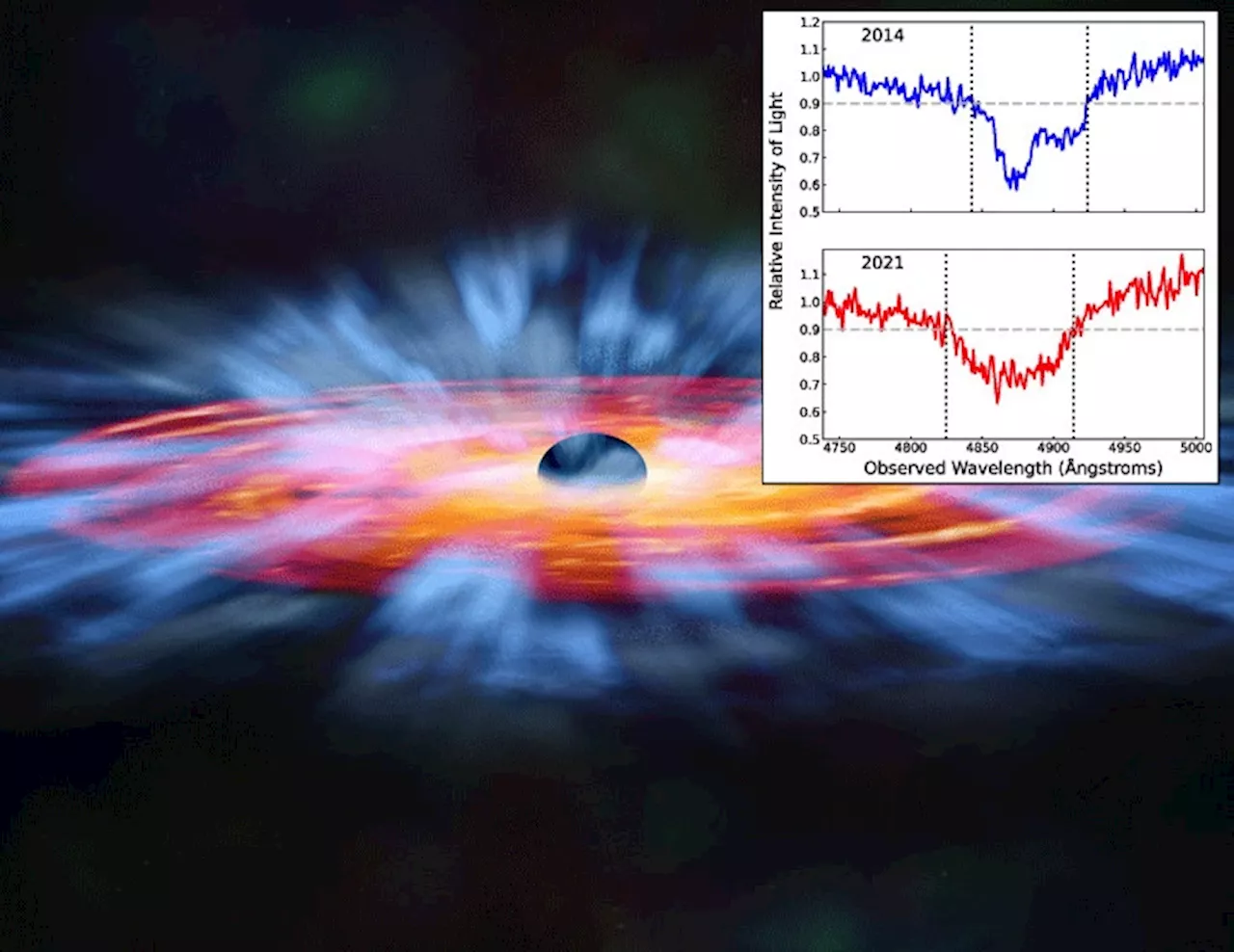 Black Hole Bullies Shut Down Star Formation in Their Galaxies