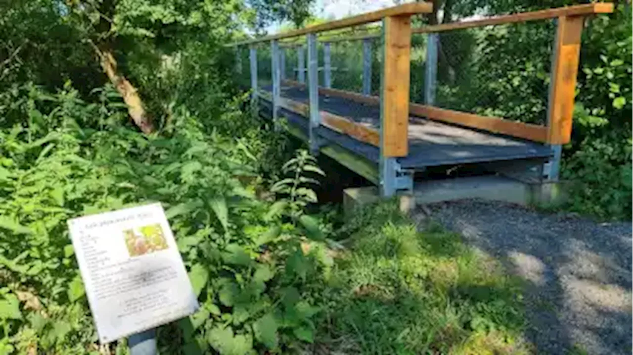 Schwanewede: An der neuen Beeke-Brücke werden nun die Rampen angelegt