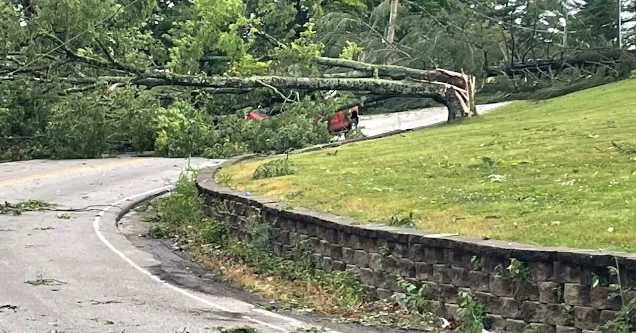 Local disaster emergency declaration announced for Monroe County after storms cause severe damage