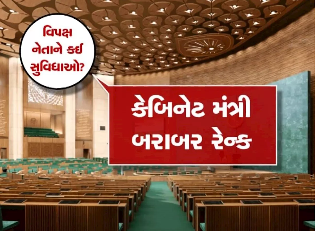 લોકસભામાં નેતા વિપક્ષ બનેલા રાહુલ ગાંધીને મળશે આ અધિકાર, જાણો કેટલું શક્તિશાળી છે આ પદ