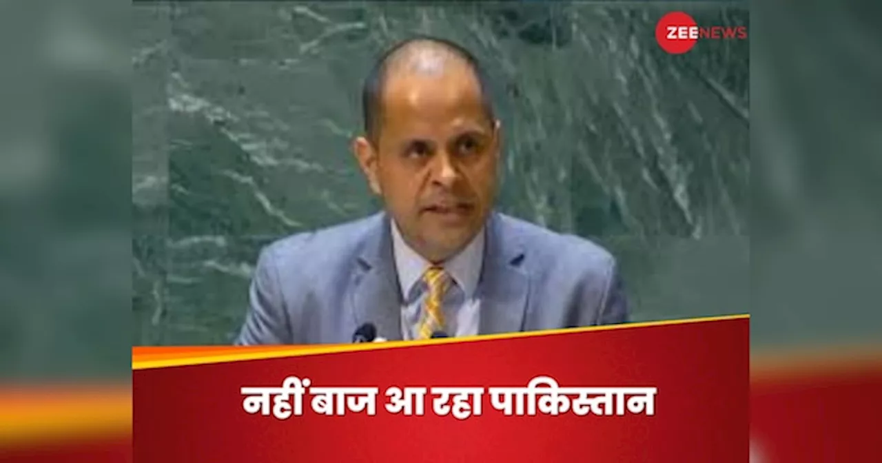 India in UN: संयुक्त राष्ट्र में भारत के खिलाफ नैरेटिव सेट कर रहा था पाकिस्तान, भारत ने लगाई लताड़