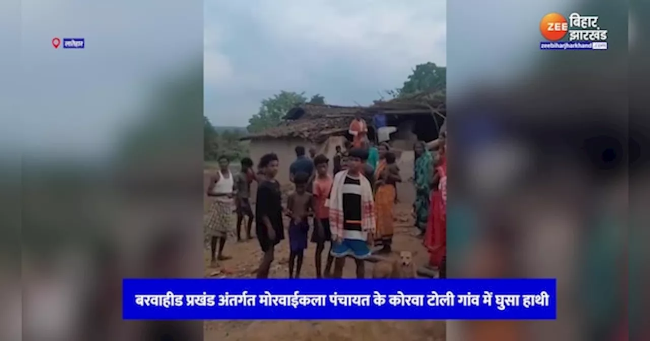 Latehar News: जंगली हाथियों ने लातेहार में मचाया उत्पात, डरे-सहमे जी रहे लोग