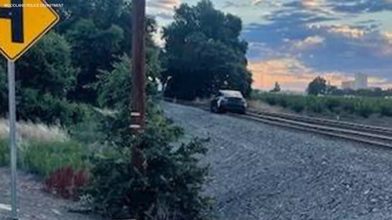 Tesla Autopilot leads driver onto active train tracks after mistaking it for road