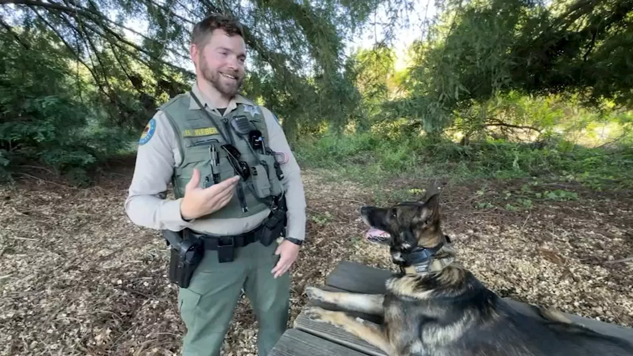 Meet the park ranger, dog credited in rescue of missing hiker in Santa Cruz mountains