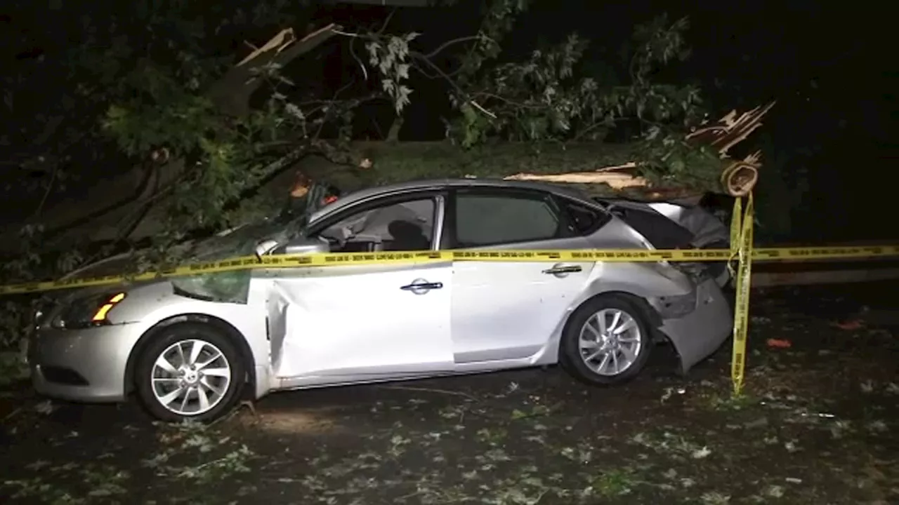 Man killed, others injured, due to downed trees throughout NY, NJ after powerful overnight storm