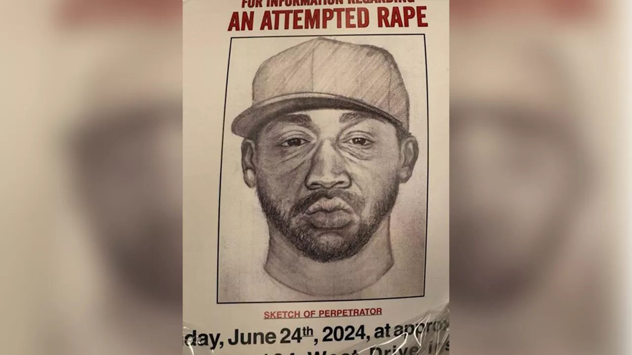 NYPD releases sketch of suspect wanted for sexually assaulting sunbather in Central Park