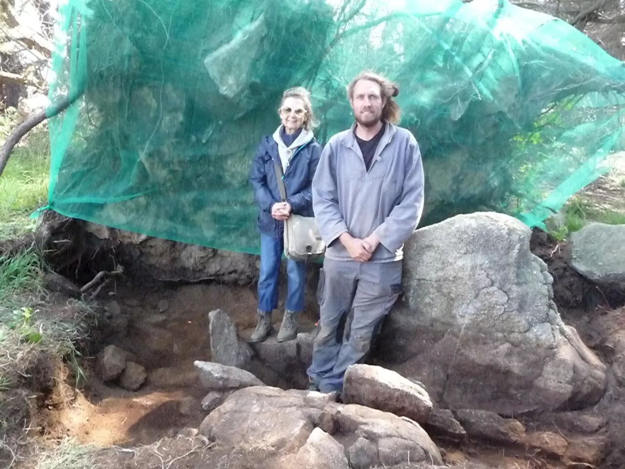 Bretagne : un promeneur fait une découverte intrigante sous un arbre tombé avec la tempête