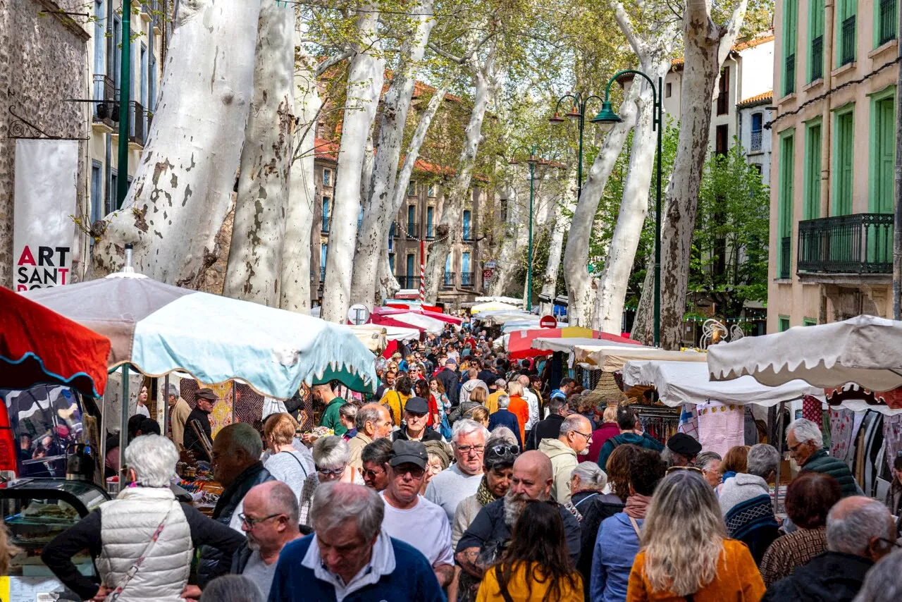 Plus beau marché de France : découvrez le classement de ce célèbre marché des Pyrénées-Orientales