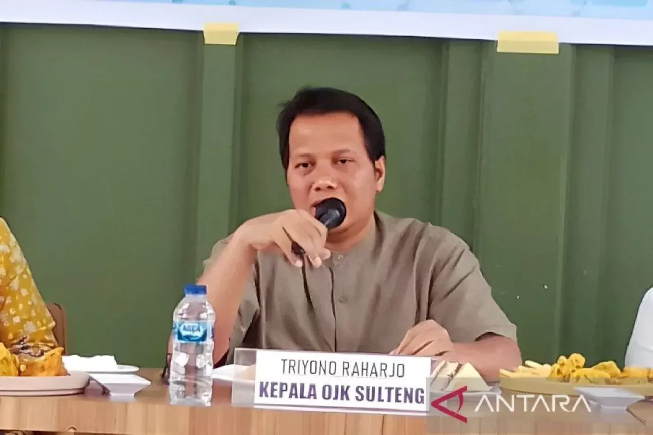 OJK Sulteng catat kinerja keuangan Sulteng hingga April 2024 stabil