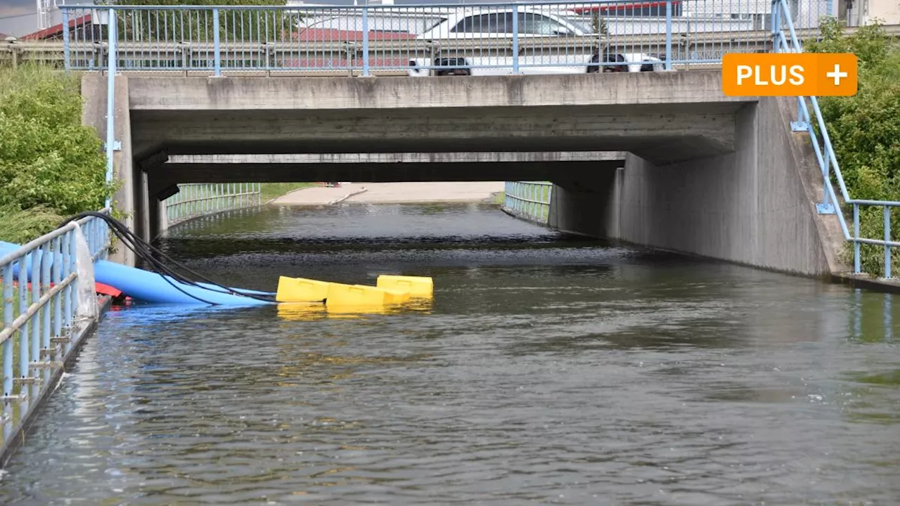 Nach Hochwasser: Droht Donauwörth ein Fischsterben?