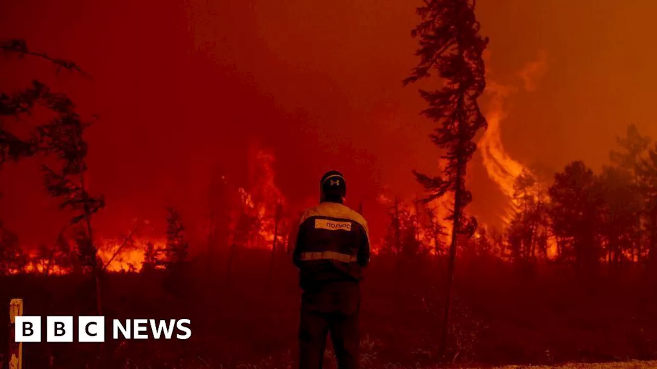 Arctic wildfires ravage region - EU climate service