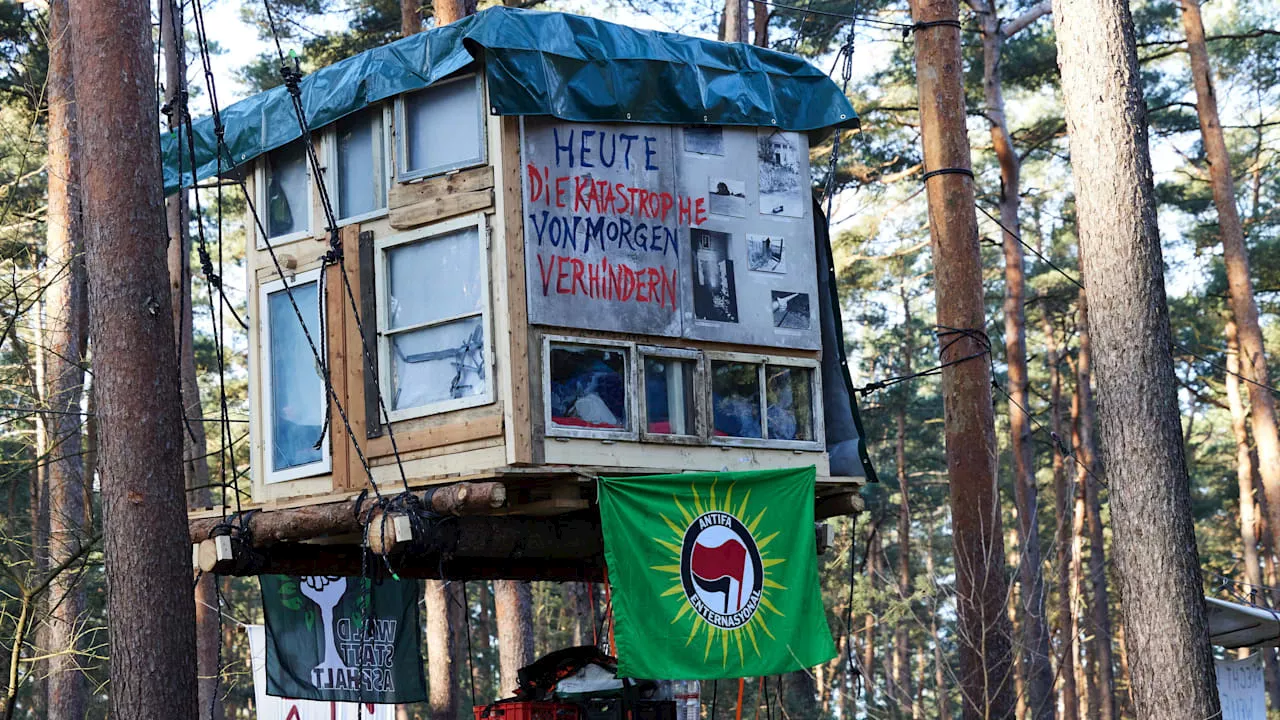 In Grünheide bei Berlin: Bombenfund im Wald bei Fabrik von Tesla