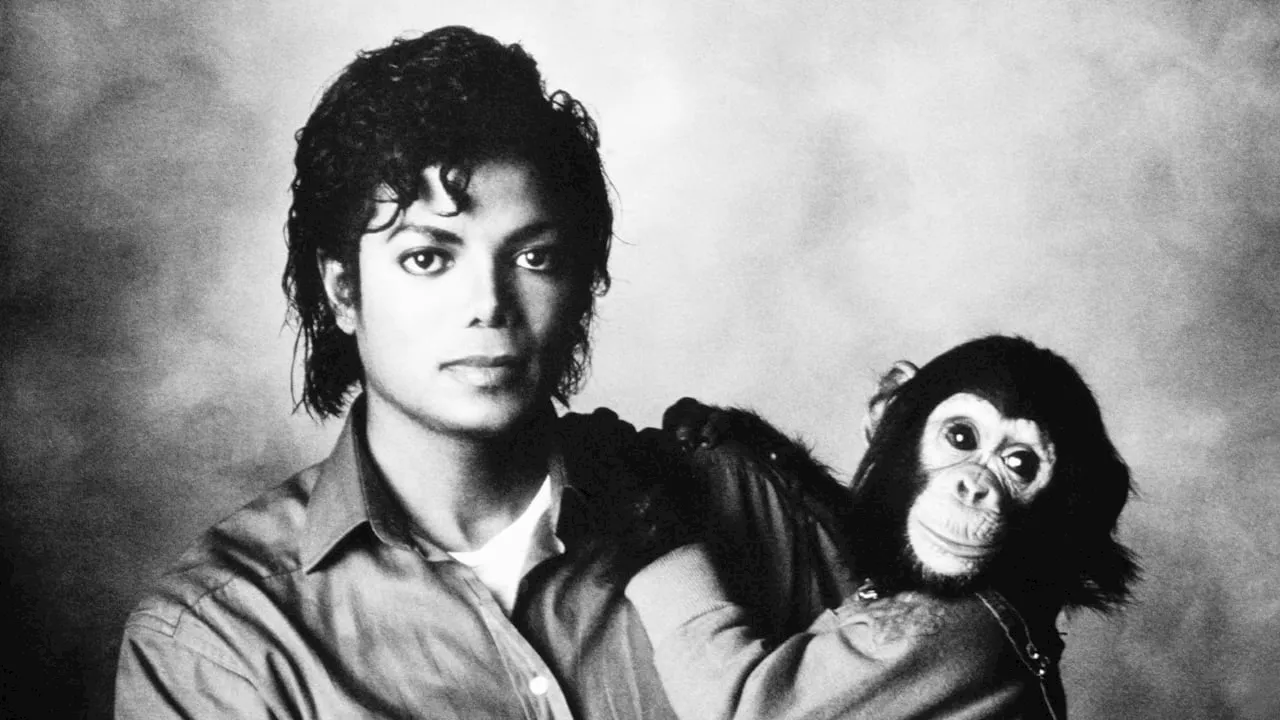 Michael Jackson: Schimpanse Bubbles malt und macht gern Nickerchen