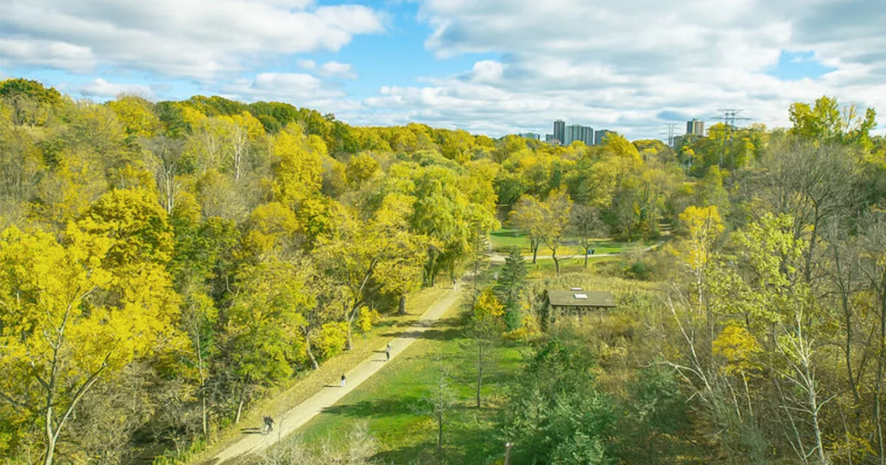 New bridges and trails in Toronto a rare case of a project actually finishing early