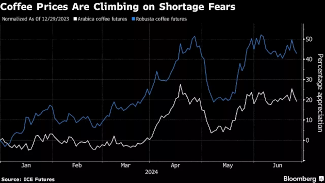 Brazil Coffee Crop Disappoints After Beans Affected by Drought