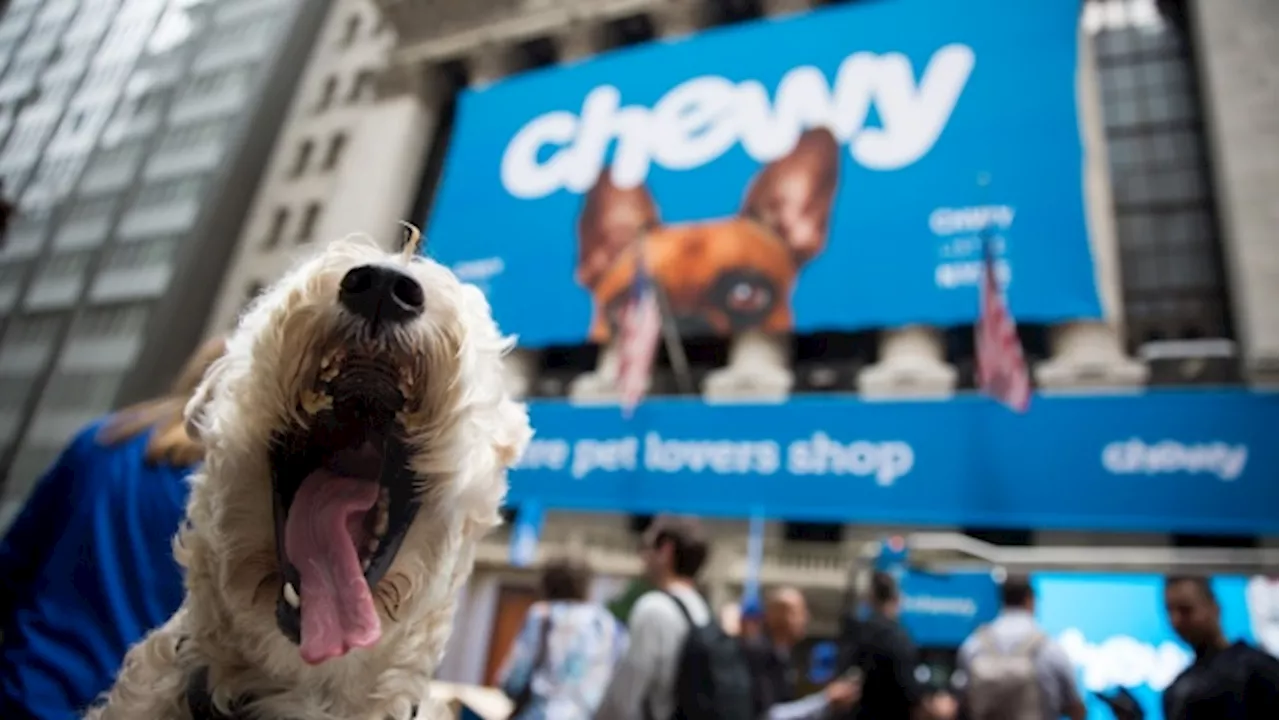 Chewy, Petco Shares Soar as ‘Roaring Kitty’ Posts Dog Image on X