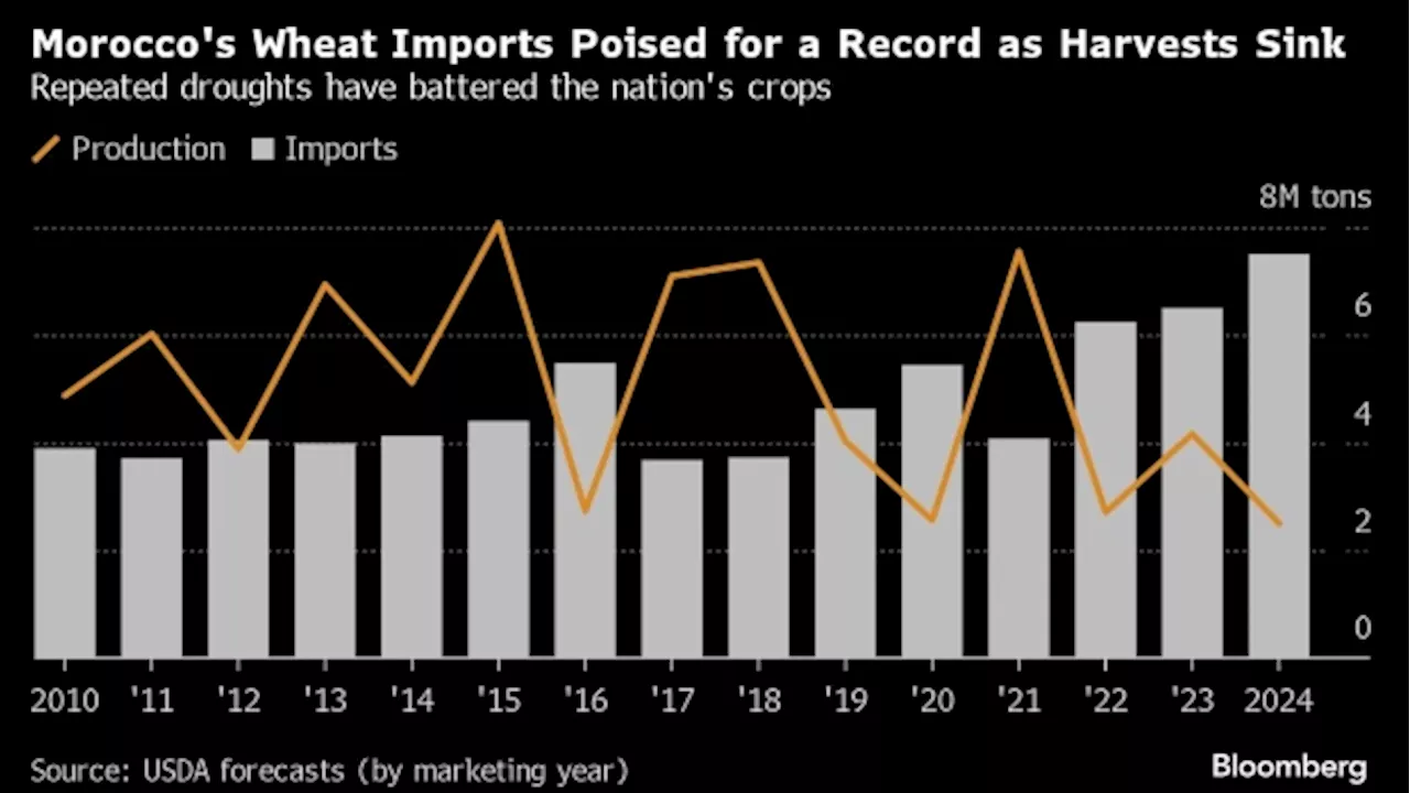 Drought Gripping Morocco Is Bad Omen for Global Food Supplies