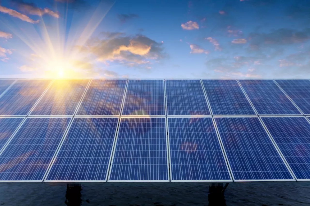 Best Solar Panels for 2024: See PV Module Index Report