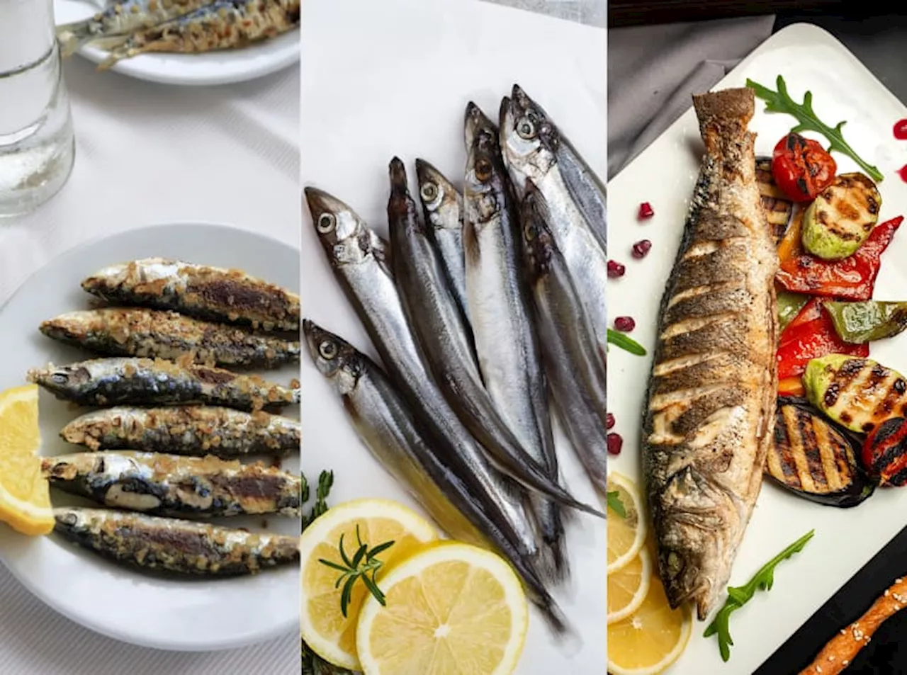 Los 7 pescados más nutritivos, según expertos: ¿Cuánto vale comprarlos en Colombia?