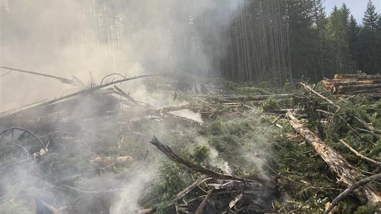 Photos show aftermath of wildfire near Shawnigan Lake