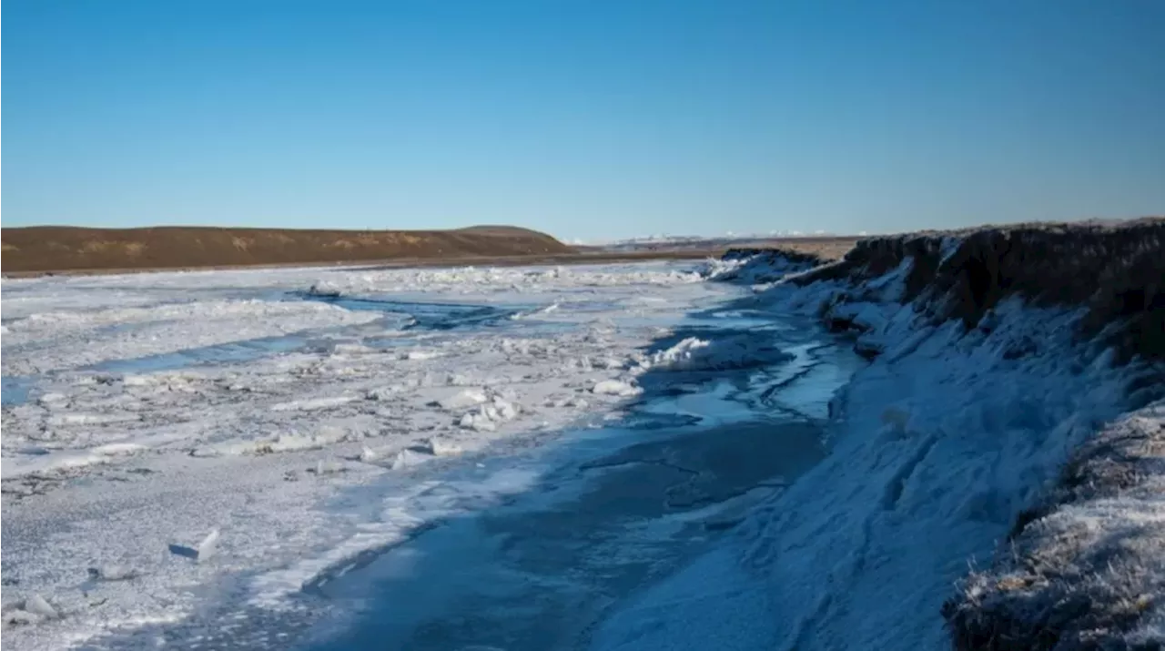 Frio extremo congela mar em região da Argentina; termômetros marcaram -17,5 °C