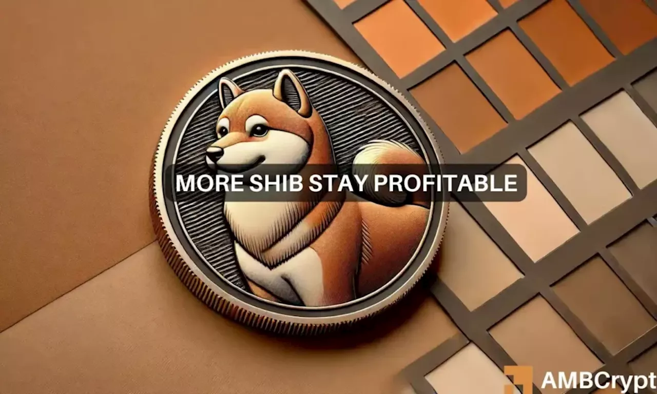 Nearly half of Shiba Inu holders facing losses: What’s next for SHIB?