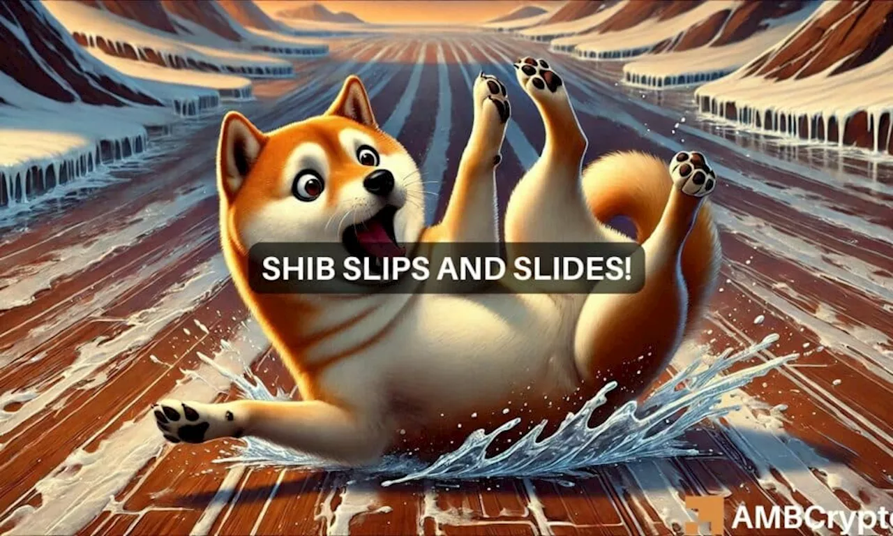 Shiba Inu surges 11% in 48 hours, but SHIB is not out of danger yet