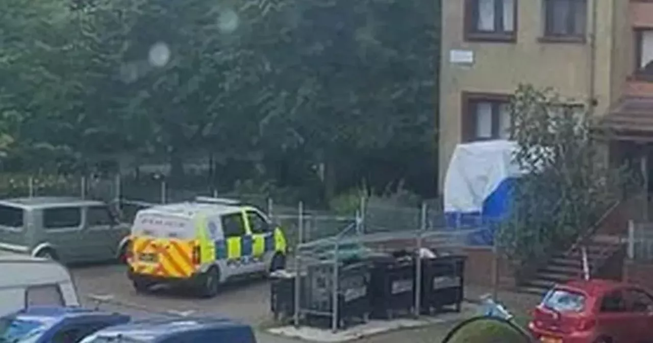 Man in critical condition after 'falling from window' at Edinburgh flats