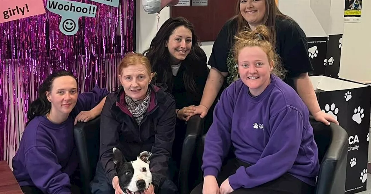 'Scotland's loneliest dog' finds new home after two years with Lanarkshire SSPCA