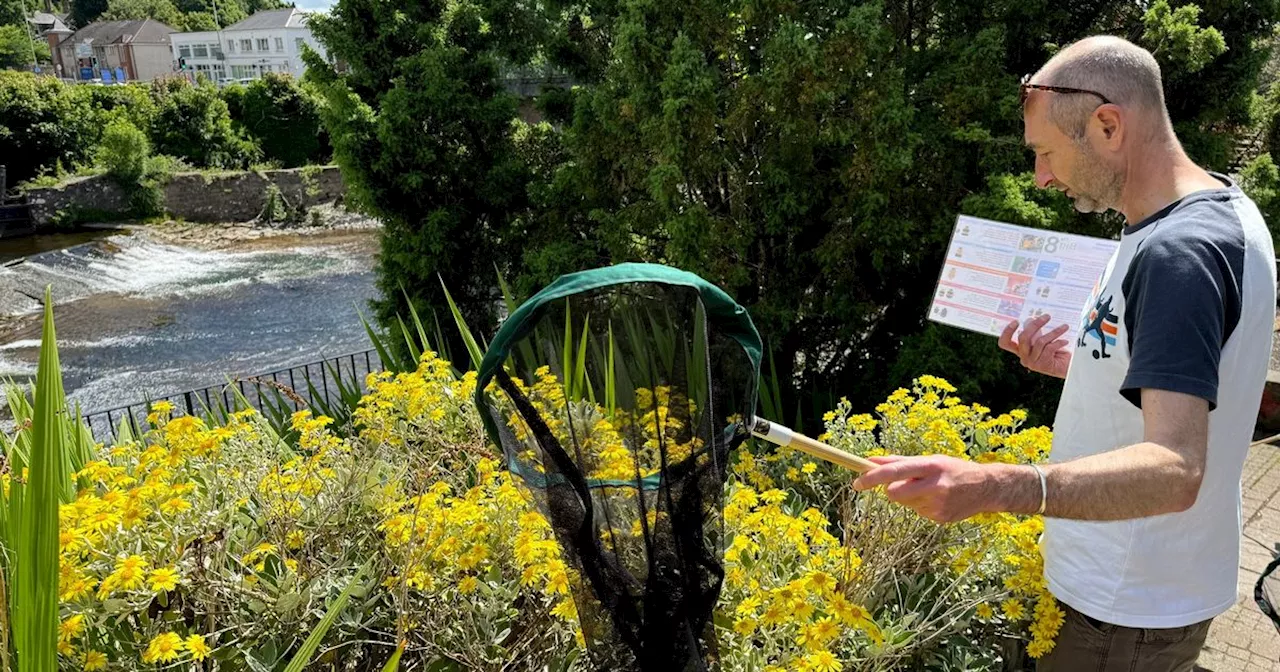 Wildlife, walks and worms part of Blairgowrie 'bioblitz'