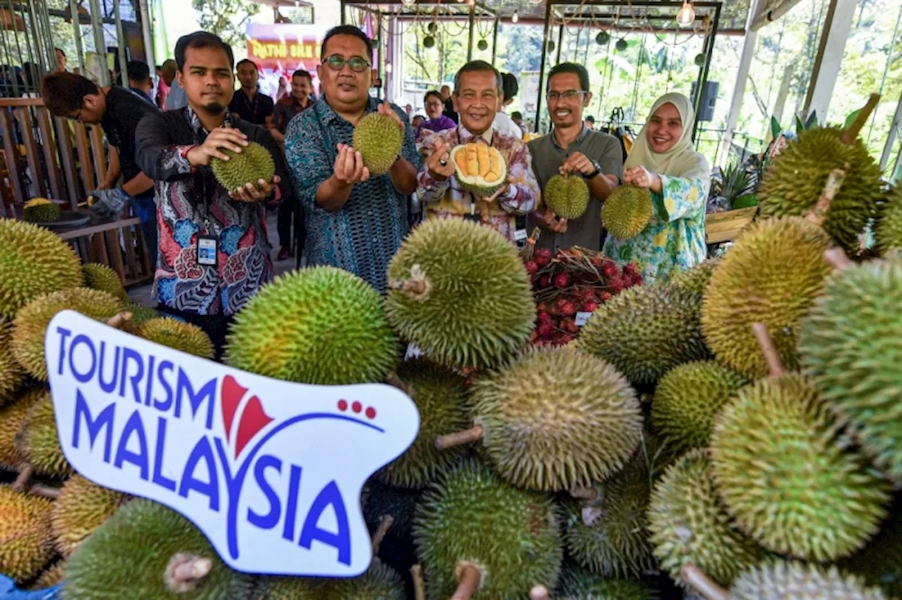 Tourism Malaysia aims to sell over RM2m in durian tourism packages, says official