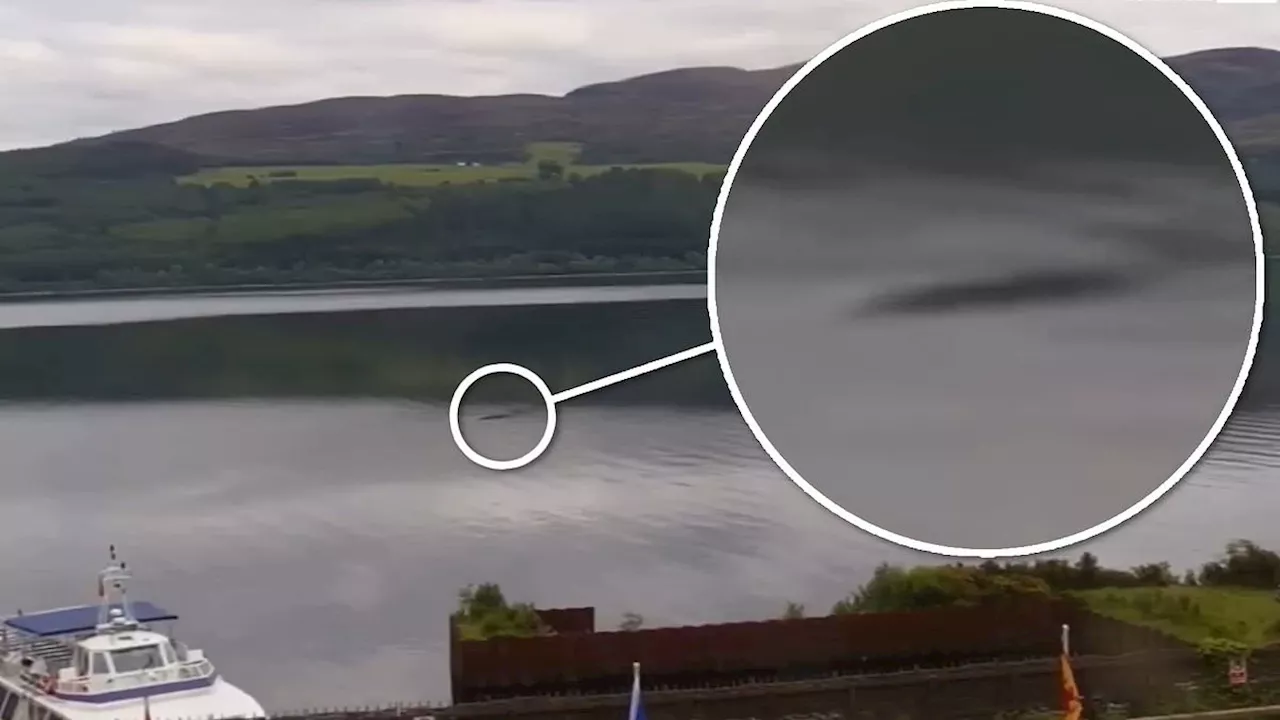 Is this a new sighting of the Loch Ness Monster?